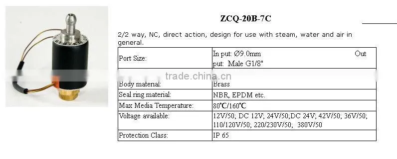 BONA Brass Solenoid Valve for Steam Iron ZCQ-20B-07C