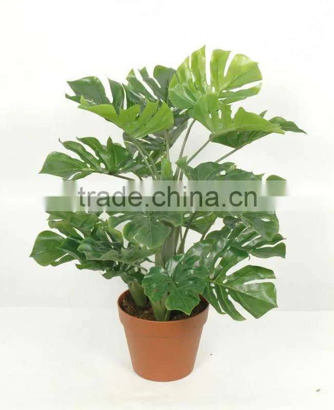 artificial green bonsai The evergreen WB17-27J-GN2# plant bonsai flower tree of Este )