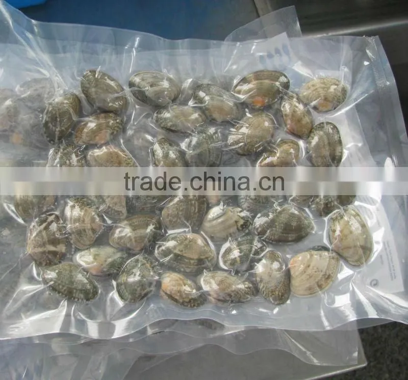 vacuum clams