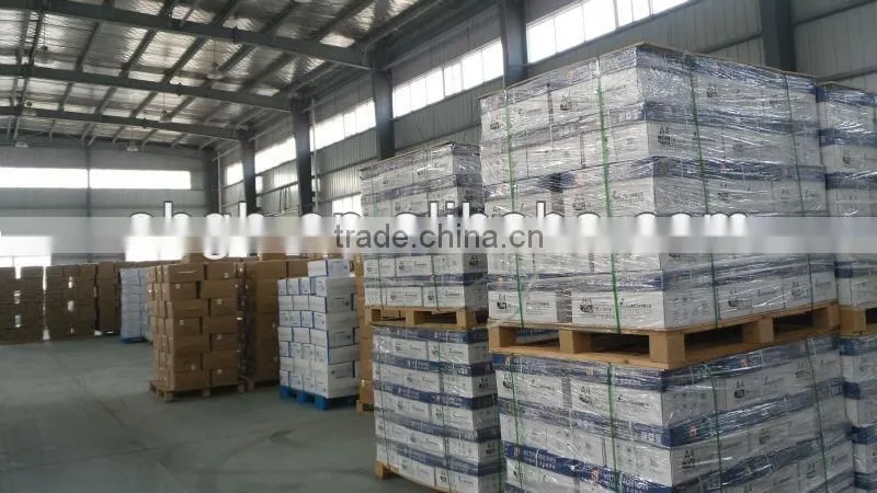 Single double elastic polypropylene catering disposable round non woven cap