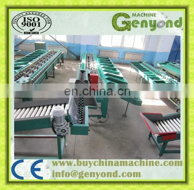 Professional Blueberry Sorter/Fruit Size Sorter Machine