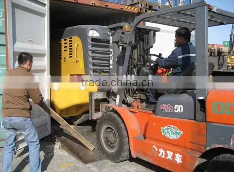 Lower Price! Tipping Skip Car, Truck from China for Sale!