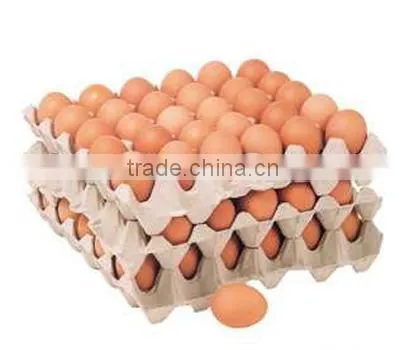 Hot sale low cost paper egg tray molding machine