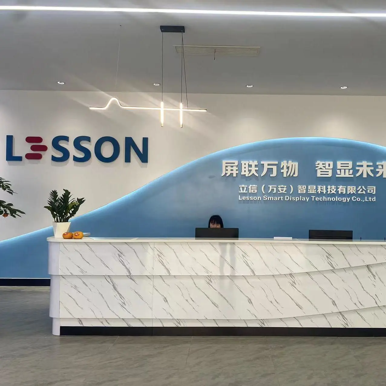Lixin (Wan'an) Intelligent Display Technology Co., Ltd. company overview - view 1