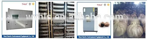New technology factory supply black garlic processing machine price
