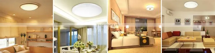 ISO9001 2008 CE 20w led ceiling down light