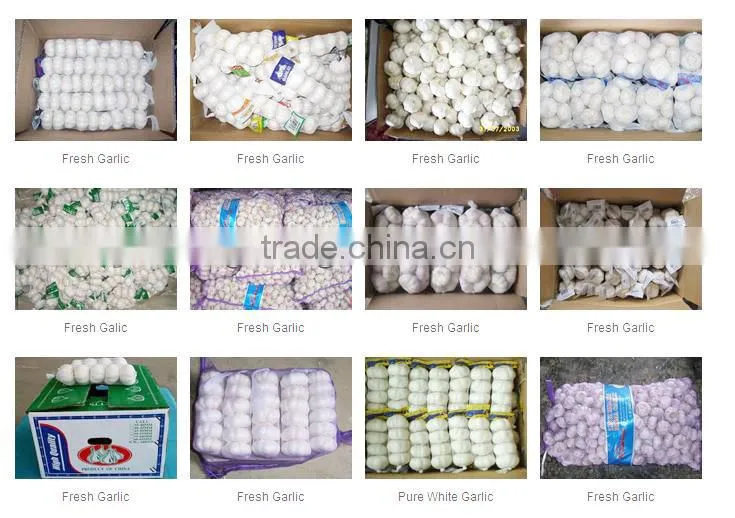 Directly supply 10kg mesh bag garlic