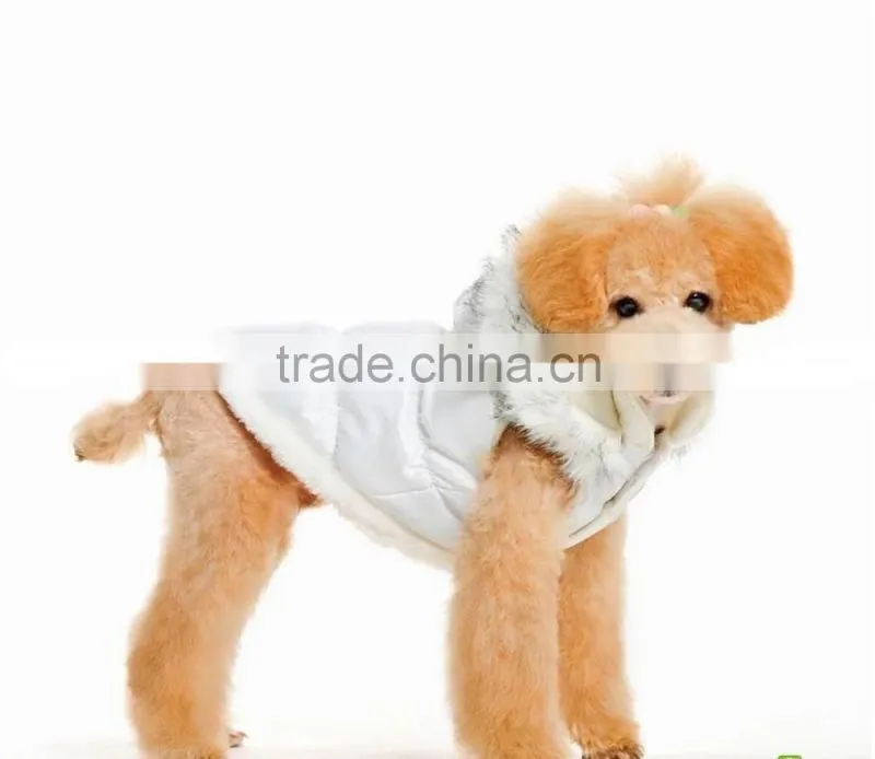 dog pet clothes