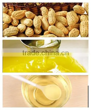 Home use mini coconut oil press machine/oil extraction machine for sale