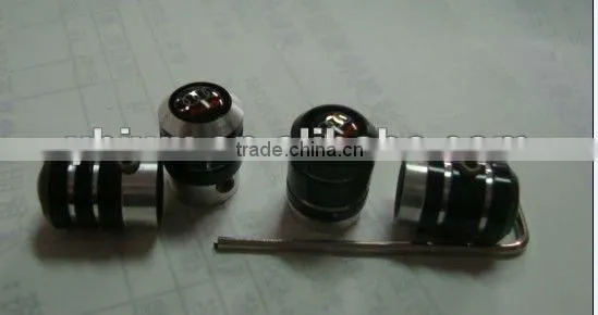 Anti-theft tire valve caps with car logo