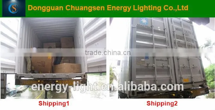 Halogen Rattan Table Lamp/Light with CE