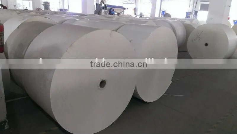 PE coated paper/ paper cup raw material price with 16 years experience/Paper Cup Blank