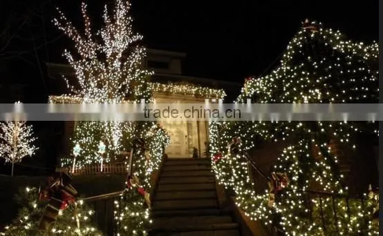 Warm White 100 LED Copper Wire led String Lights