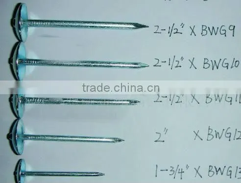ring shank zinc galvanized roofing nails