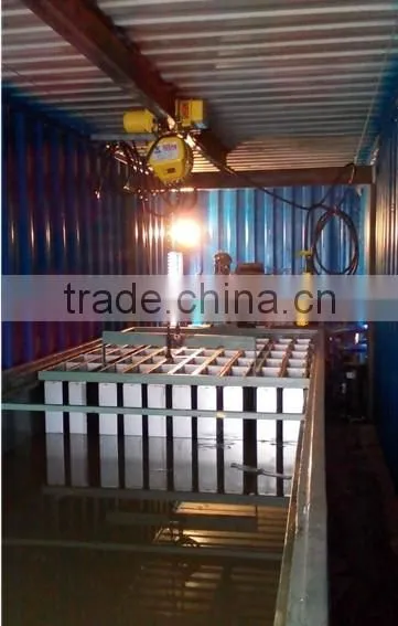 Portable Block Ice Maker Machines For Vegetables Freshing