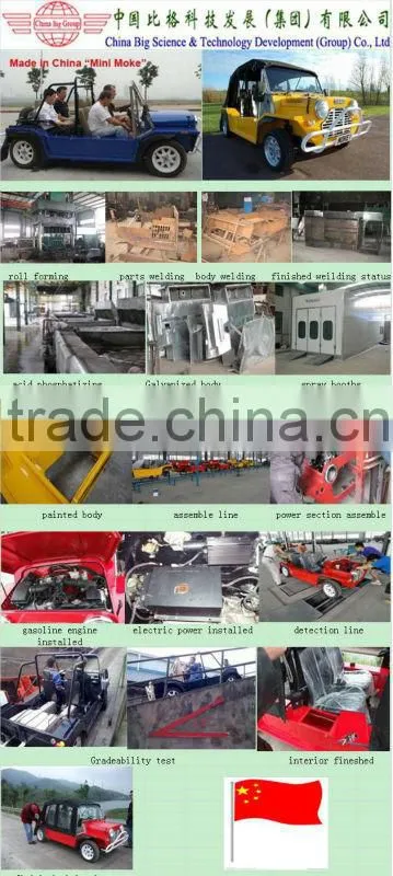 2013 Brand new 990cc EFI gasoline engine mini moke car for sale