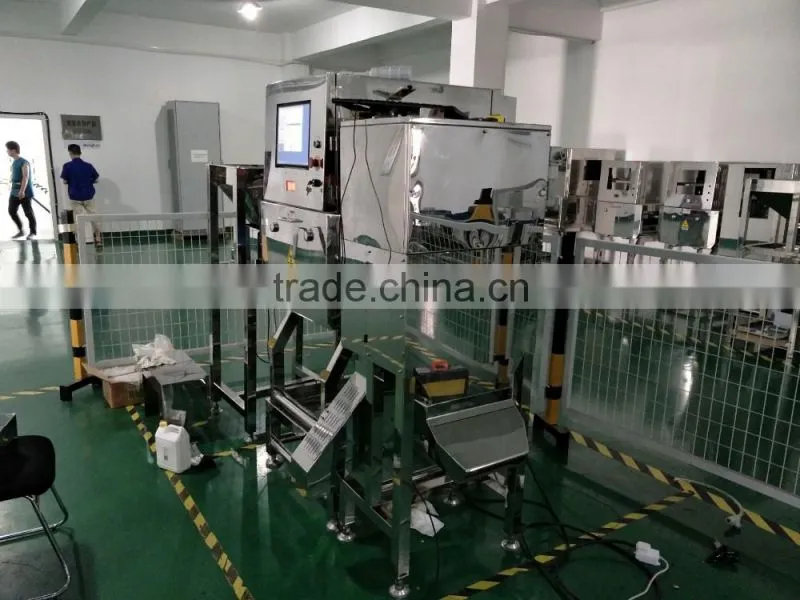 inline X-ray inspection machine for loose raisins, sunflowers, corns.
