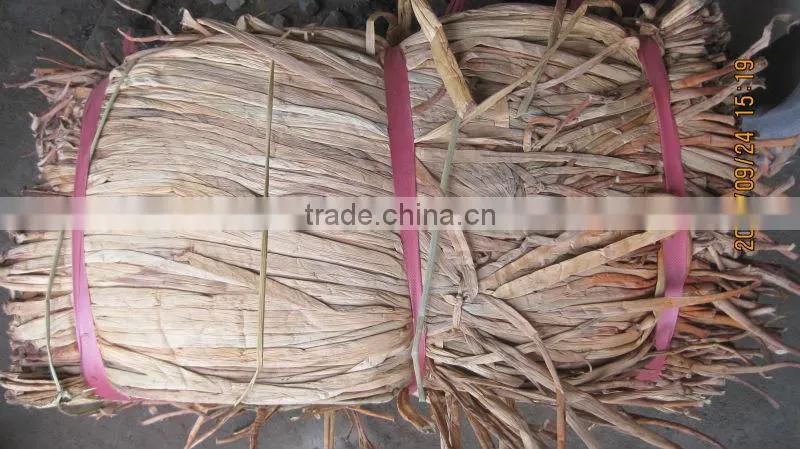 Dried Water Hyacinth _ QQ : 2598494113