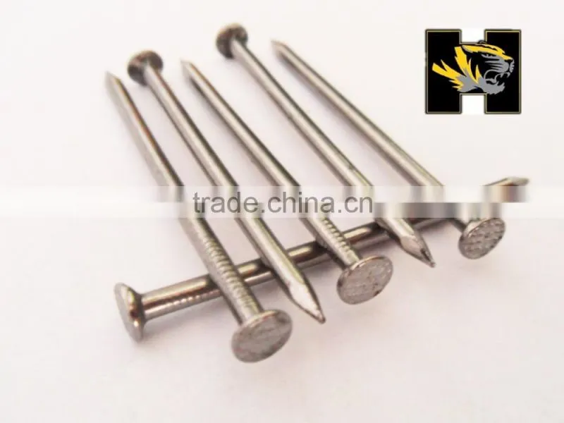 iron common nail iron nail factory concrete nails use for conctete wall from china