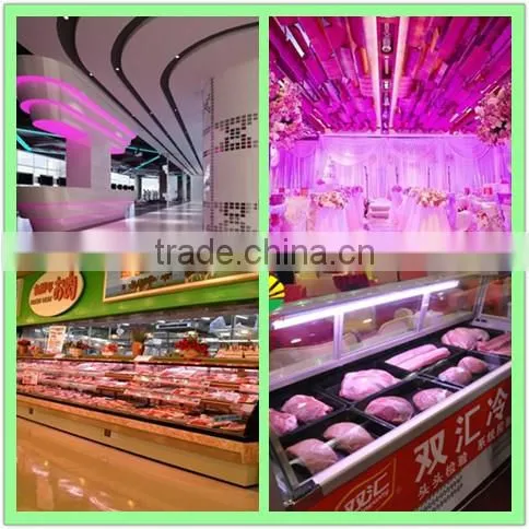 2016 hot sale pink LEDs zoo animal video tube 2015 led pink tube anim pink LED light source for fresh meat with 3 years warranty