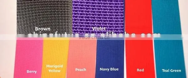 2014 new colorful nylon cotton pp webbing rolls-wide10-80mm FT-WB507