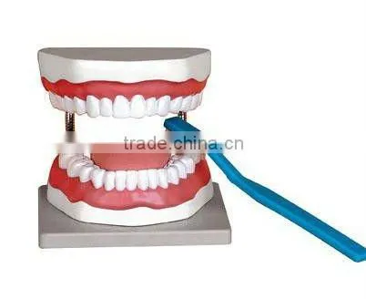 Health Care of Oral cavity