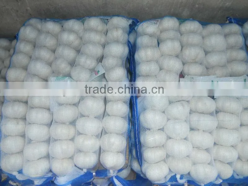 2013 crop natural garlic ,good quality new garlic