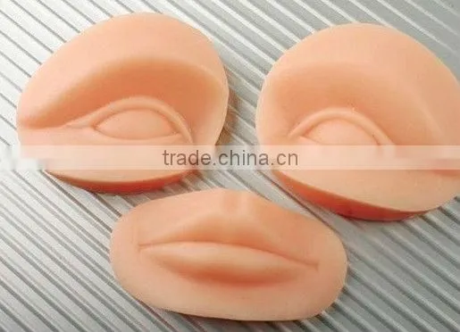 3D-Stereo tattoo practice head-lips eyebrow Practice Dermis