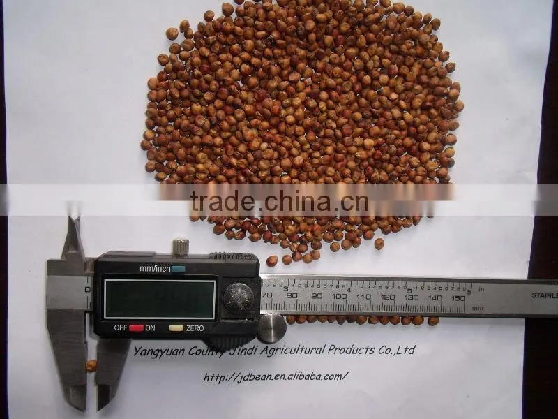 glutinous sweet red Sorghum with high starch