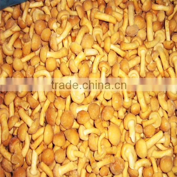 Frozen mixed mushrooms 4 types