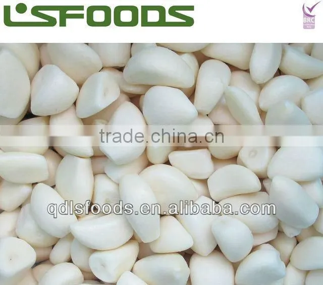 IQF Frozen Garlic Dice Garlic Minced Garlic cube HOT SALE