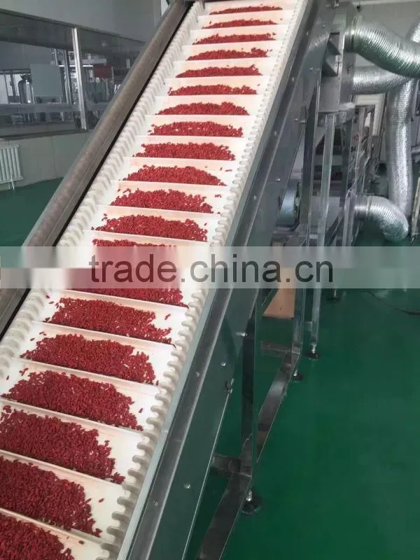goji berry bulk