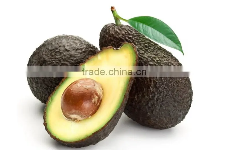 Chile Imported 100% Natural fresh avocado fruit Extract Powder