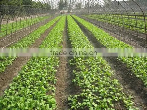4-row manual vegetable seeder