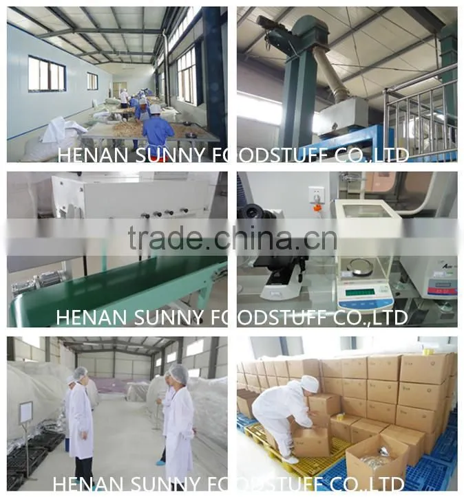 Professional Supplier Dried Ginger Flakes