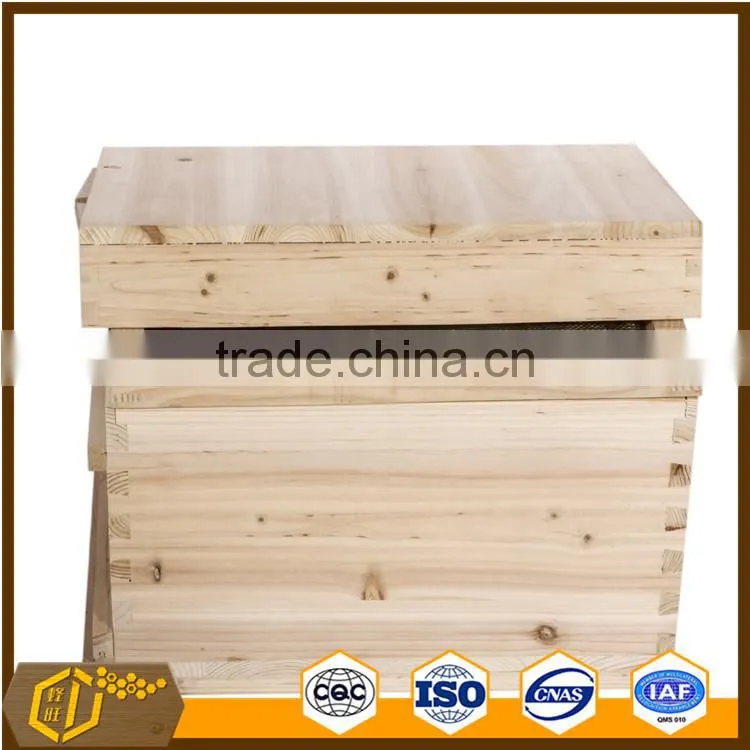 bee hive