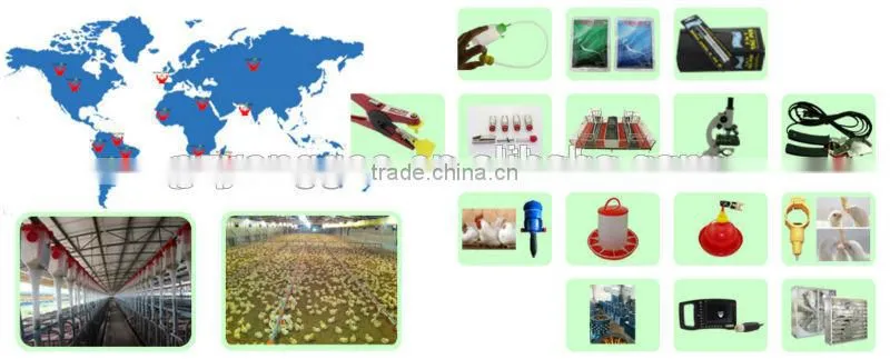 drinkers for chickens,automatic drinker for chicken