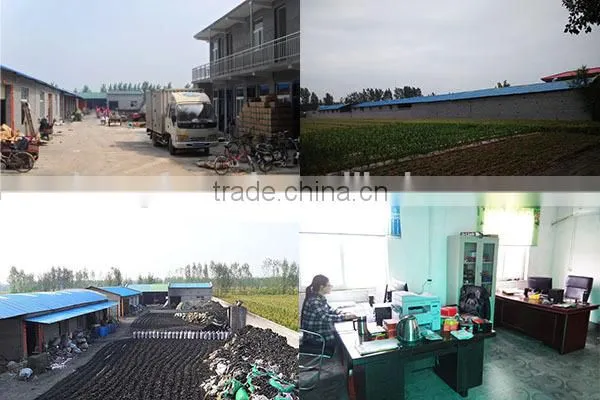 customize all kinds good quality shisha charcoal for incense