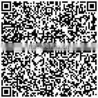 Strong Magnet Neodymium/D12.7x6.35mm Neodymium Magnet