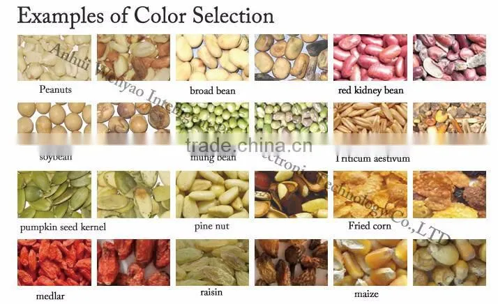Multifunction CCD corn/maize/peas/grain/seeds color sorting machine in Anhui Hefei
