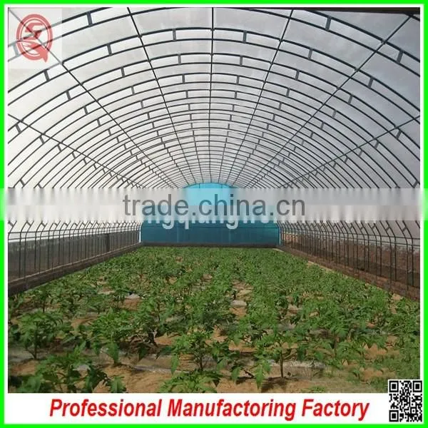 Hot sale 9.6m multi-span agricultural plastic film greenhouse with cheap price