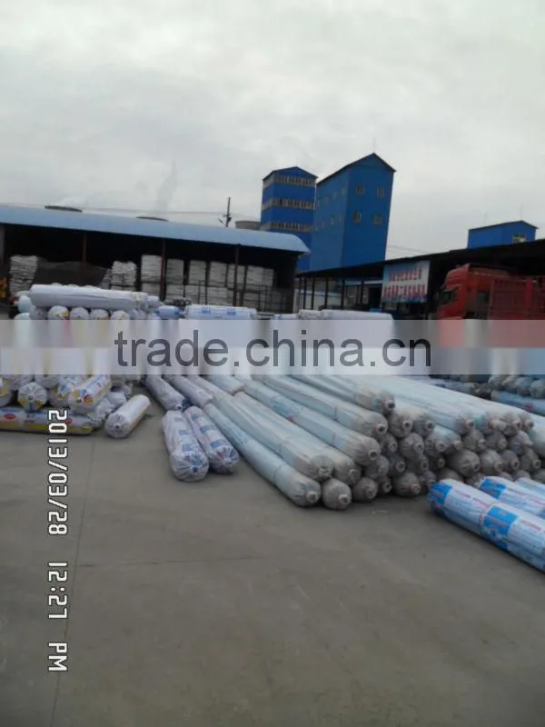 LDPE greenhouse film for flower, vegetable