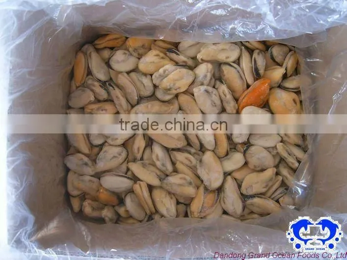 frozen bleu mussel meat