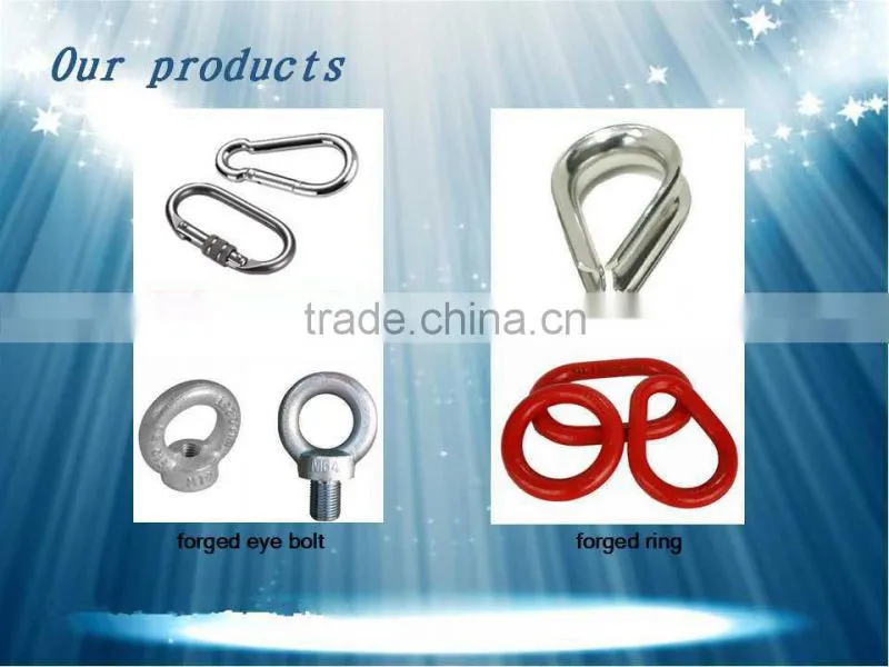 Hot Selling High Quality Galvanized Pet Chain