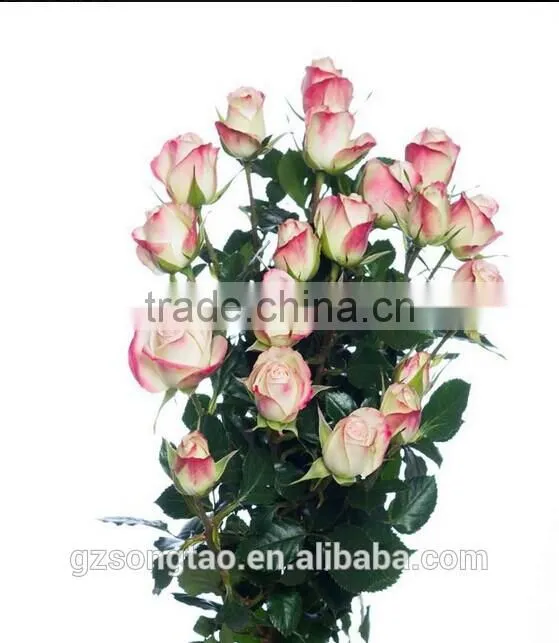 Chinese wonderful and beautiful Rose , similation 90%with hand touch artificial chinese rose for sale