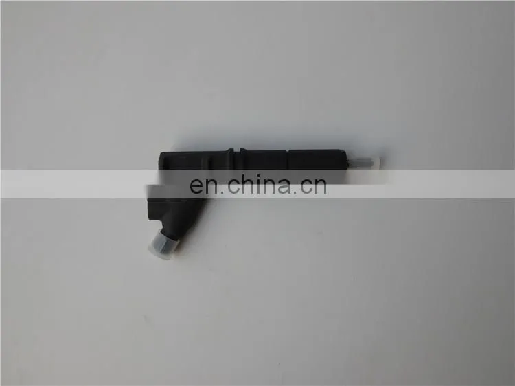 Genuine Sinotruk HOWO Truck D12 Engine Parts VG1246080036 Fuel Injector