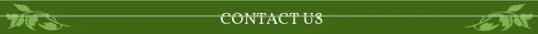 Healthy Additive Free Green Tea from Leading Wholesaler at Cheap Rate