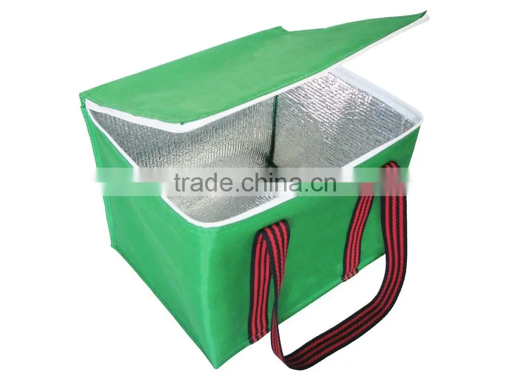 Cooler Bag