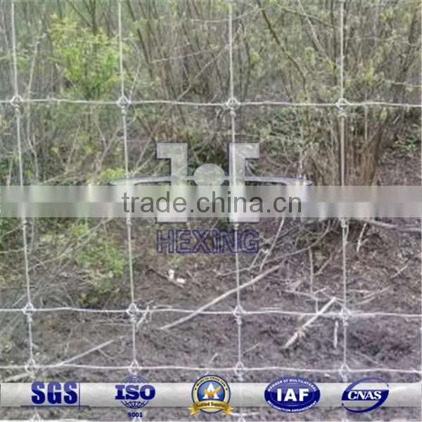 Galvanized Grassland Fence/Field Wire Mesh Fence