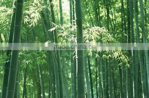 round bamboo chopsticks/Chinese chopsticks/disposable chopsticks/bamboo chopsticks